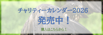 チャリティーカレンダー2026 発売中！