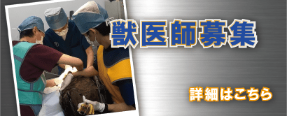 研究員募集 詳細はこちらから