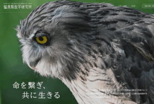 新HPトップ画像