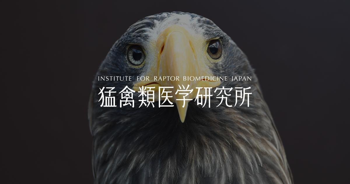 猛禽類医学研究所 - 環境省より委託を受け希少猛禽類の救護および野生